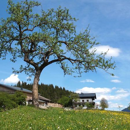 Villa Unterhofgut à Goldegg Extérieur photo