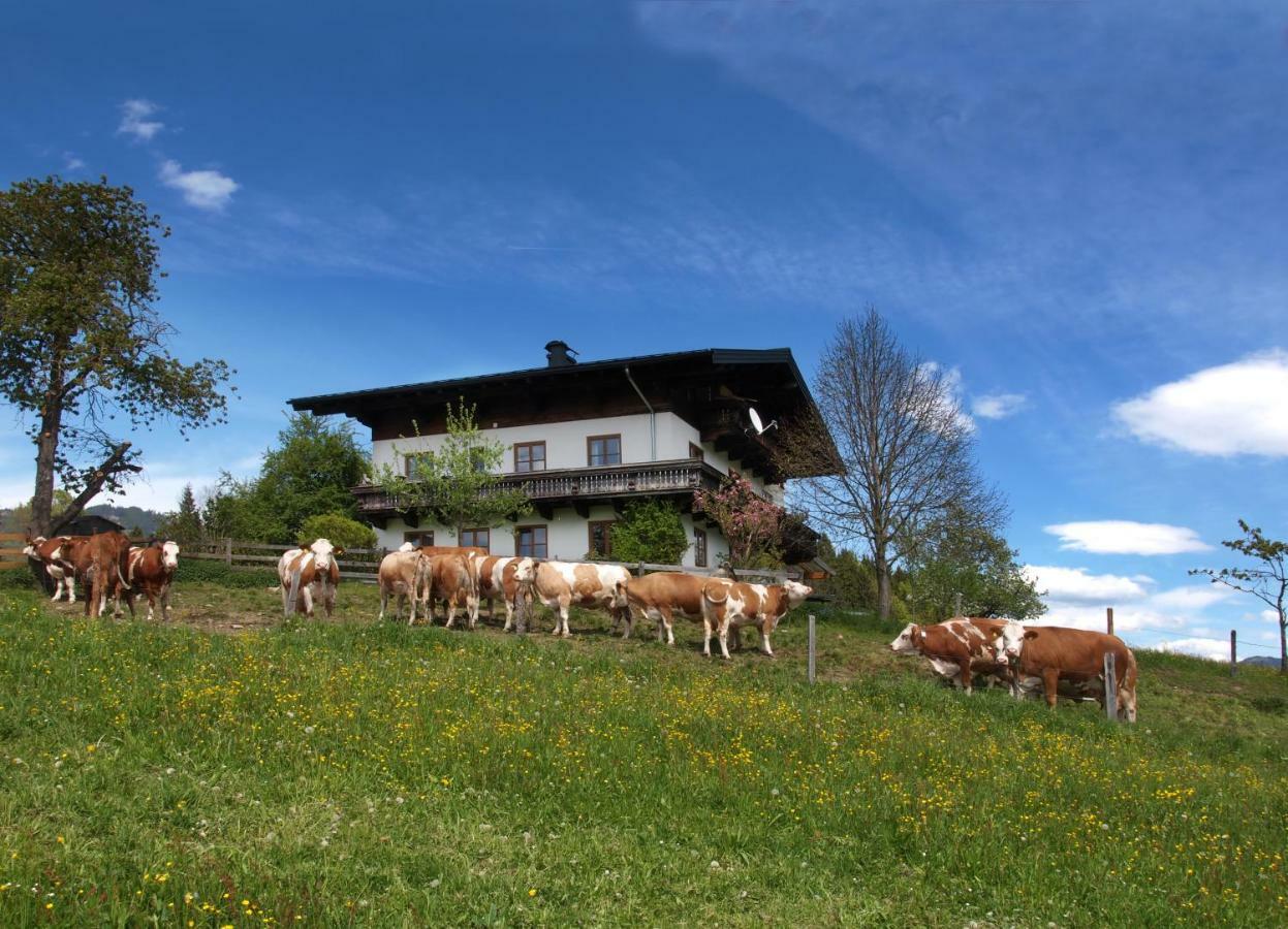Villa Unterhofgut à Goldegg Extérieur photo