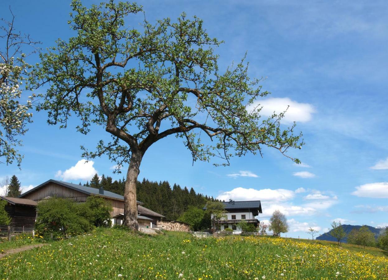 Villa Unterhofgut à Goldegg Extérieur photo