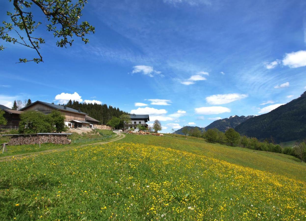 Villa Unterhofgut à Goldegg Extérieur photo